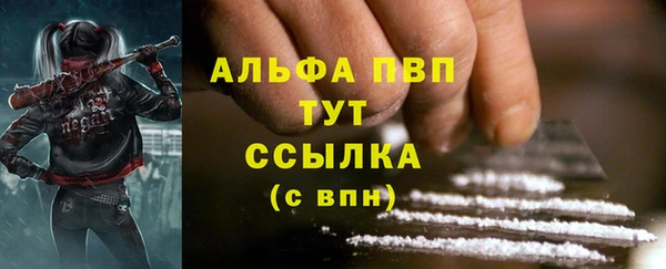PSILOCYBIN Инсар