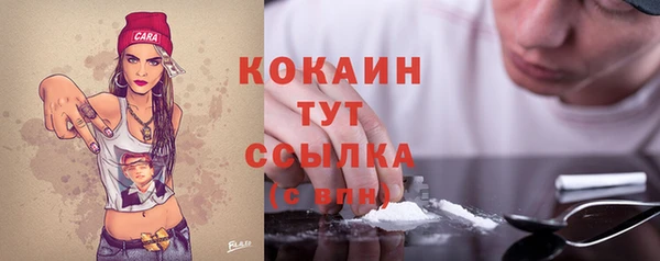 mdpv Инта