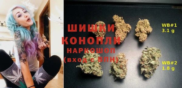 PSILOCYBIN Инсар