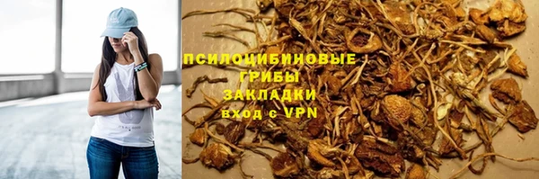 mdpv Инта