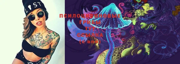 PSILOCYBIN Инсар