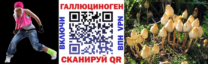 Галлюциногенные грибы прущие грибы  Купить где  Ейск 